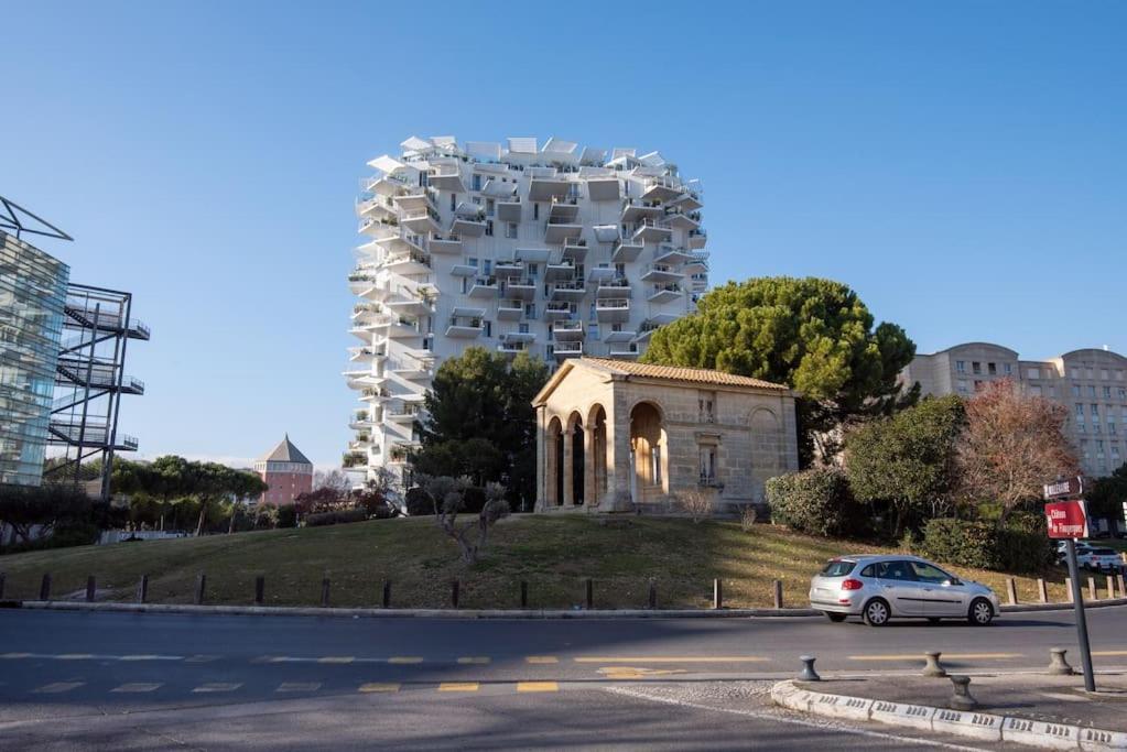 Appartement T2 A L'Arbre Blanc Montpellier Exterior photo